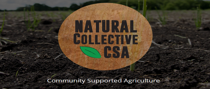 Natural Collective: Vegetable CSA
