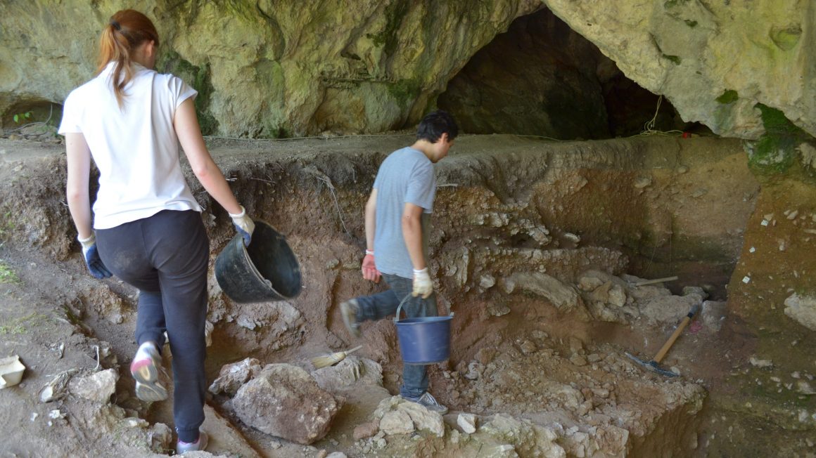 Excavation Site