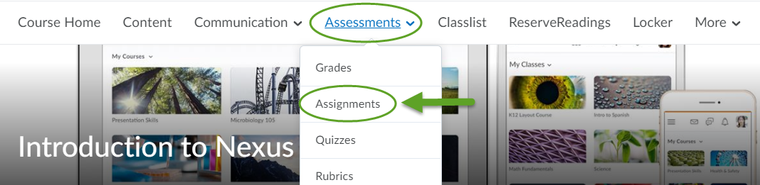 Supported File Types, Assignments, Assessments