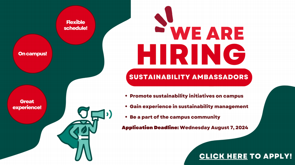 We are hiring Sustainability Ambassadors. Part-time, $16 per hour, on campus! Promote sustainability initiatives on campus, gain experience in sustainability management, be part of the campus community. Pictured: a male figure wearing a green cape and super-hero outfit with a leaf on it, holding a megaphone. Click here to apply. 
